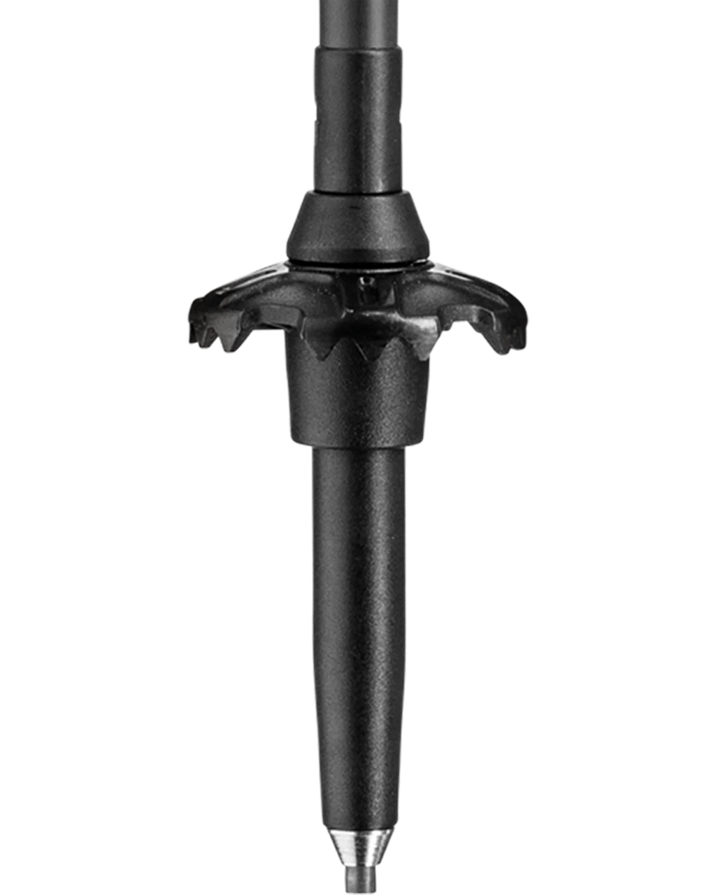 LEKI Black Series Carbon | Black